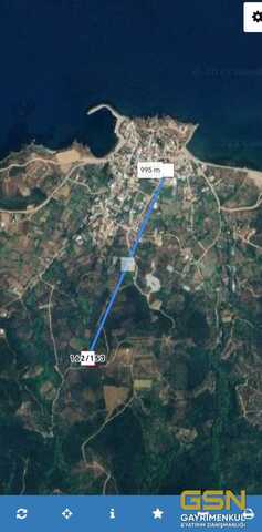 1-BALIKESİR BANDIRMA SAHİL YENİCE'DE AYAZMA MEVKİİN DE SATILIK ZEYTİNLİK